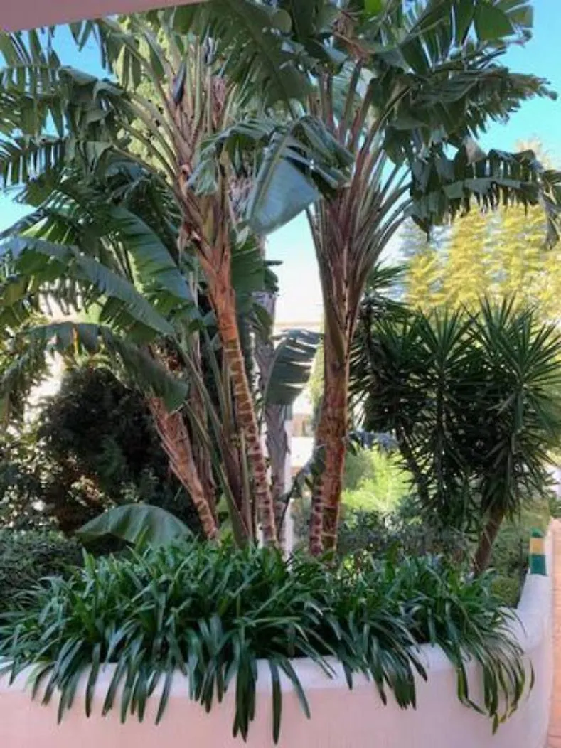 Appartement Pueblo Del Parque Avec Belle Terrasse Benalmadena Apartment